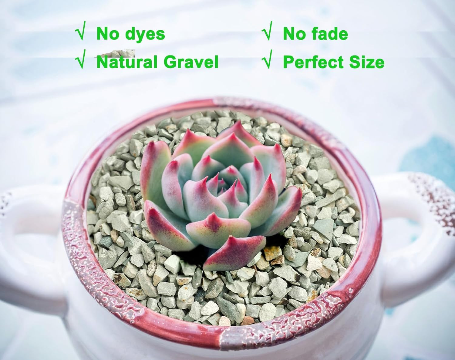 2Lb Succulents and Cactus Green Zeolite, Décor & Additive Rocks, Natural Decorat