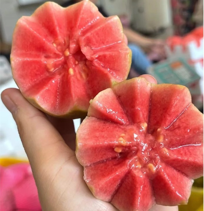 50 Red Guava Seeds – Tropical Fruit Tree with Sweet Pink Flesh for Home Garden