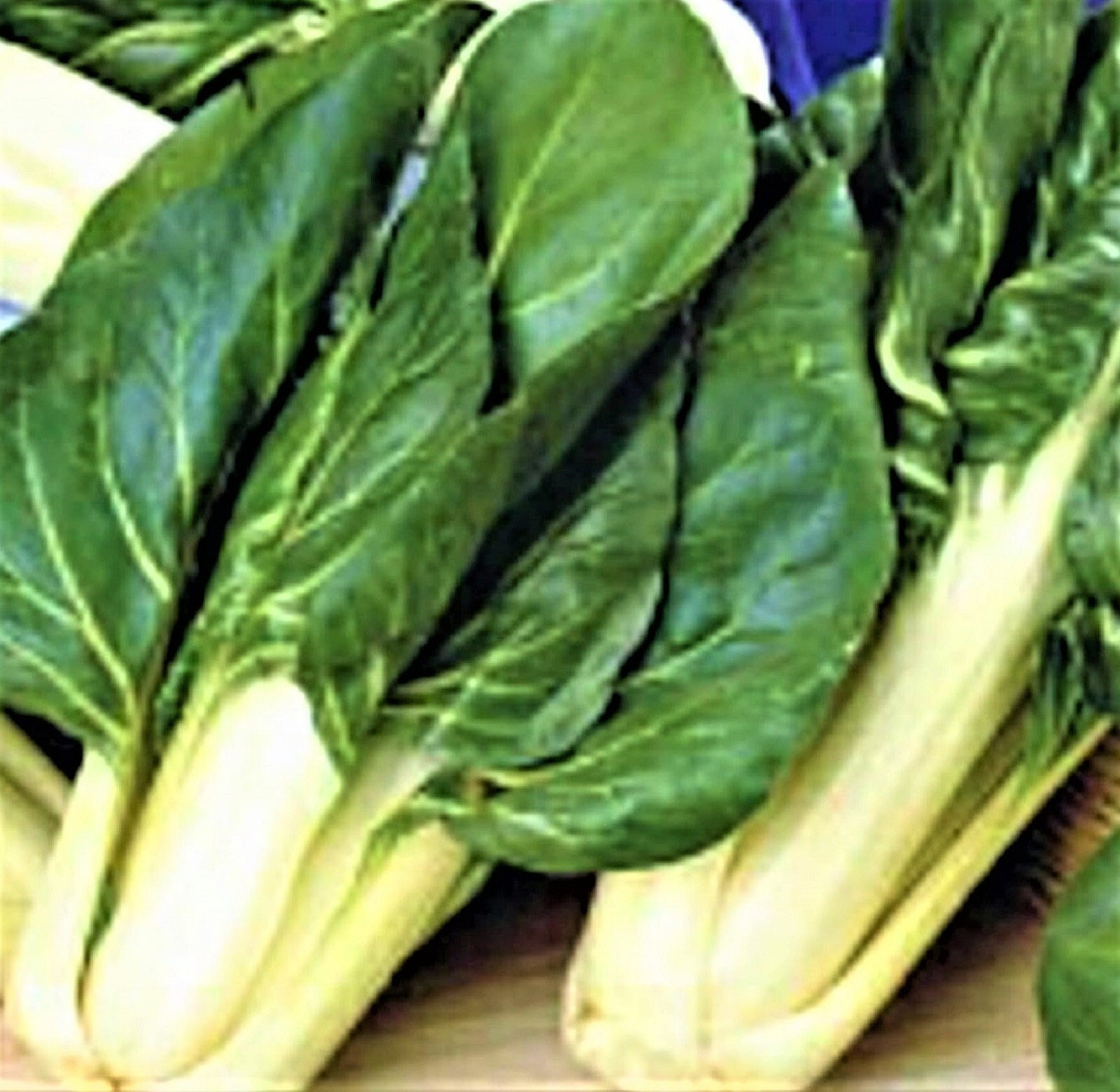 Barese Swiss Chard Seeds 100+ SEEDS NON-GMO –BUY 4 ITEMS FREE SHIPPING