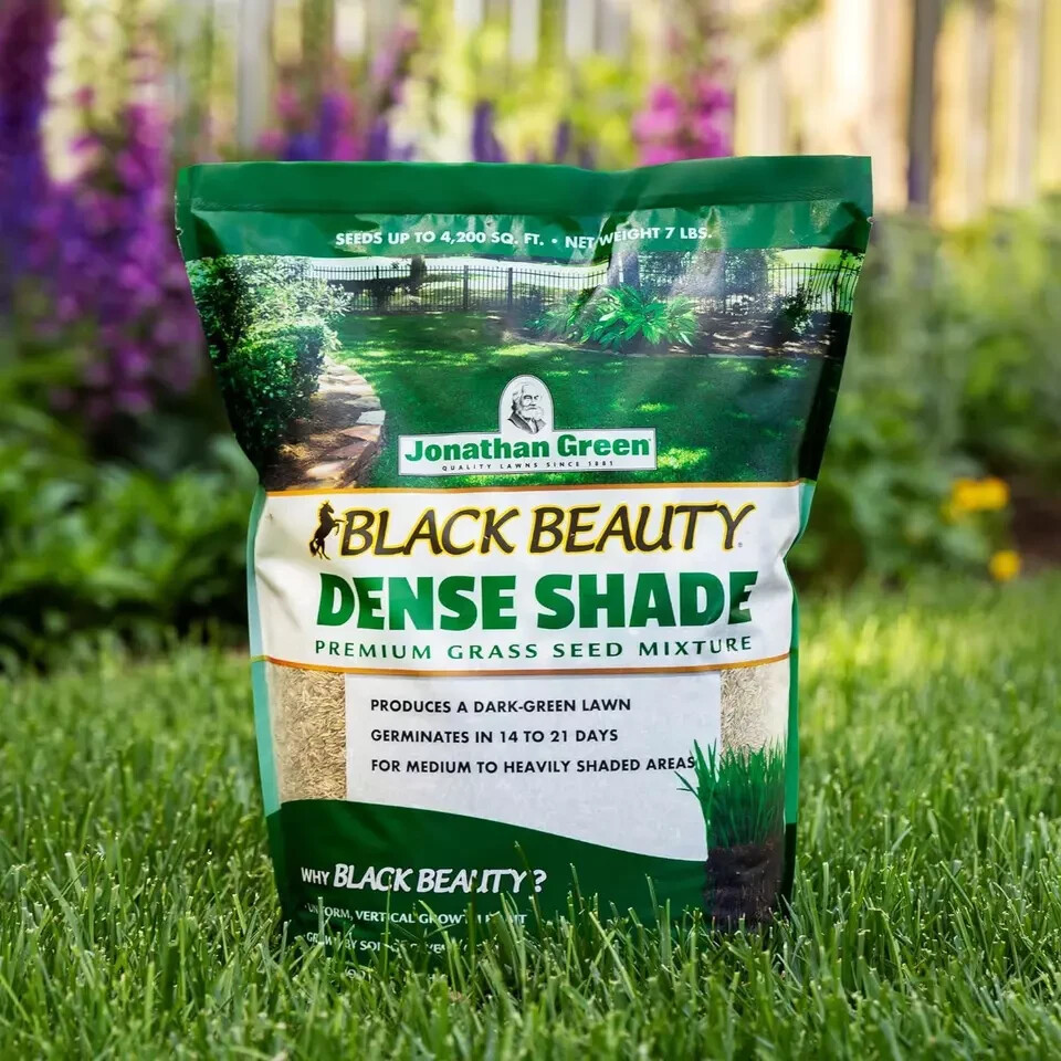 Jonathan Green (10622) Black Beauty Dense Shade Grass Seed – Cool Season Lawn (1