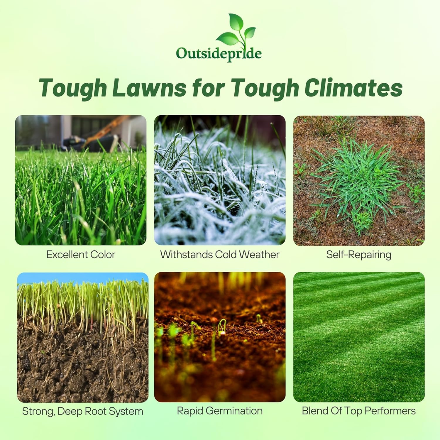 Outsidepride Combat Extreme Northern Zone – 10 Lbs Cold-Hardy, Drought-Resistant