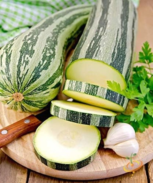 Rare 12 Variety Non-GMO Zucchini & Squash Seed Mix – 50 Seeds for Every Garden