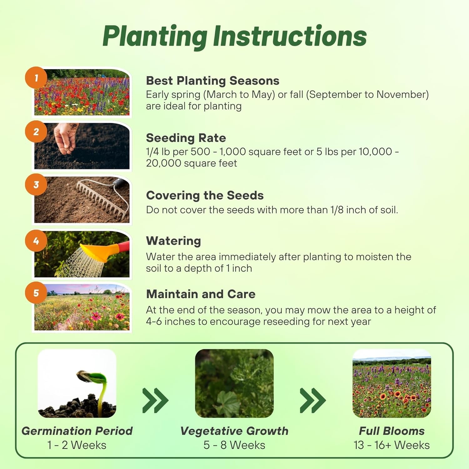 1 LB Texas and Oklahoma Wildflower Seed Mixes For Planting Outdoors
