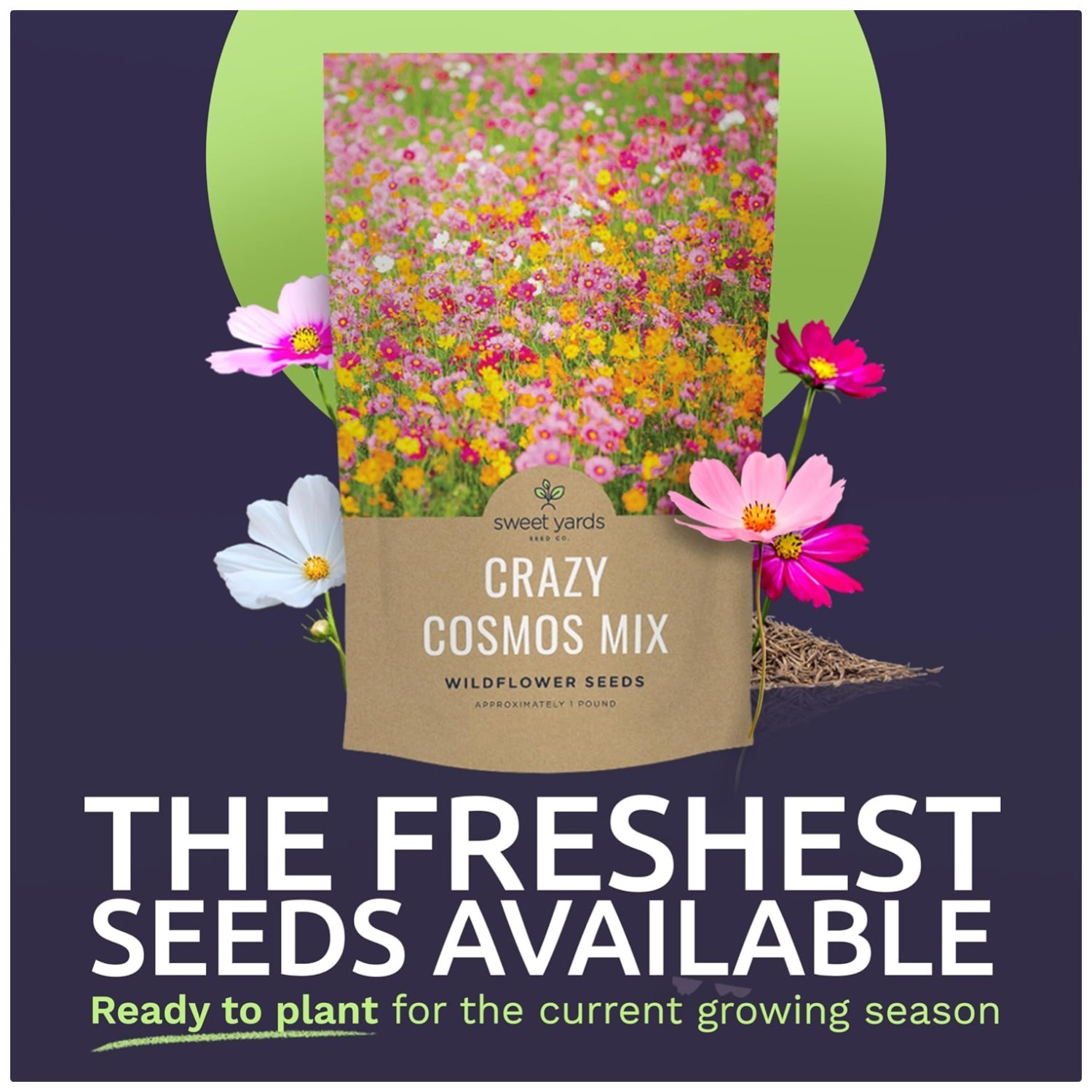Cosmos Wildflower Seed Mix – Pink, Yellow, Orange