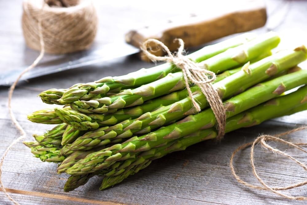 Jersey Knight Live Asparagus Bare Root Plants – 2yr Crowns – Easy to Grow