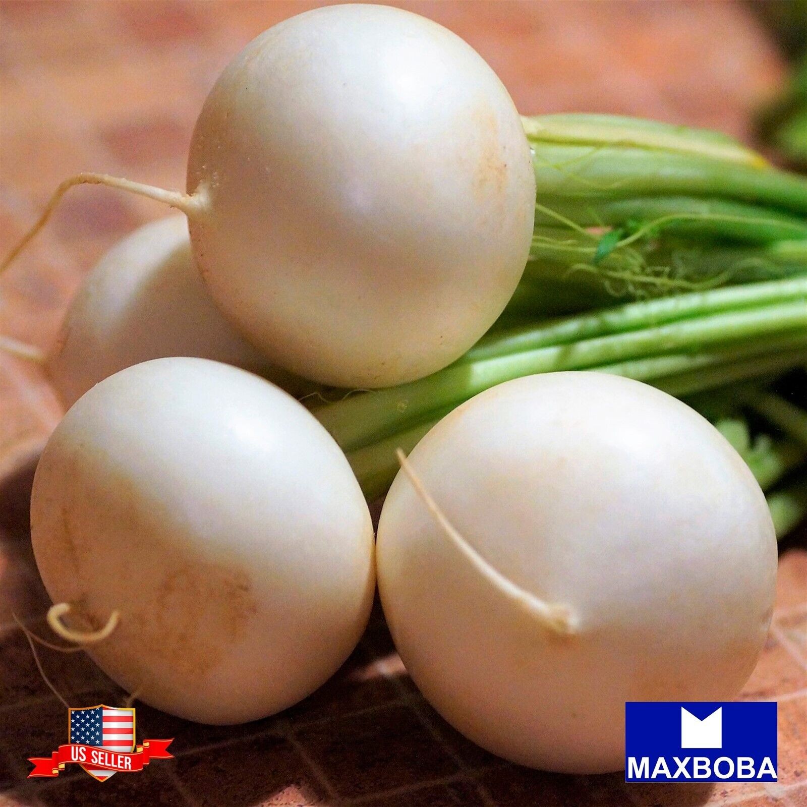Radish Seeds – Hailstone Raphanus sativus Non-GMO Heirloom Vegetable Garden