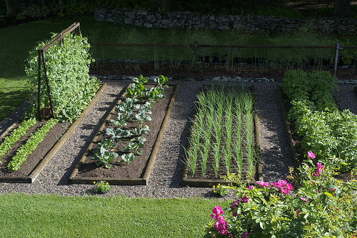 (Medium Garden) Survival Garden Emergency Food Seeds 36 kinds Heirloom USA Seeds