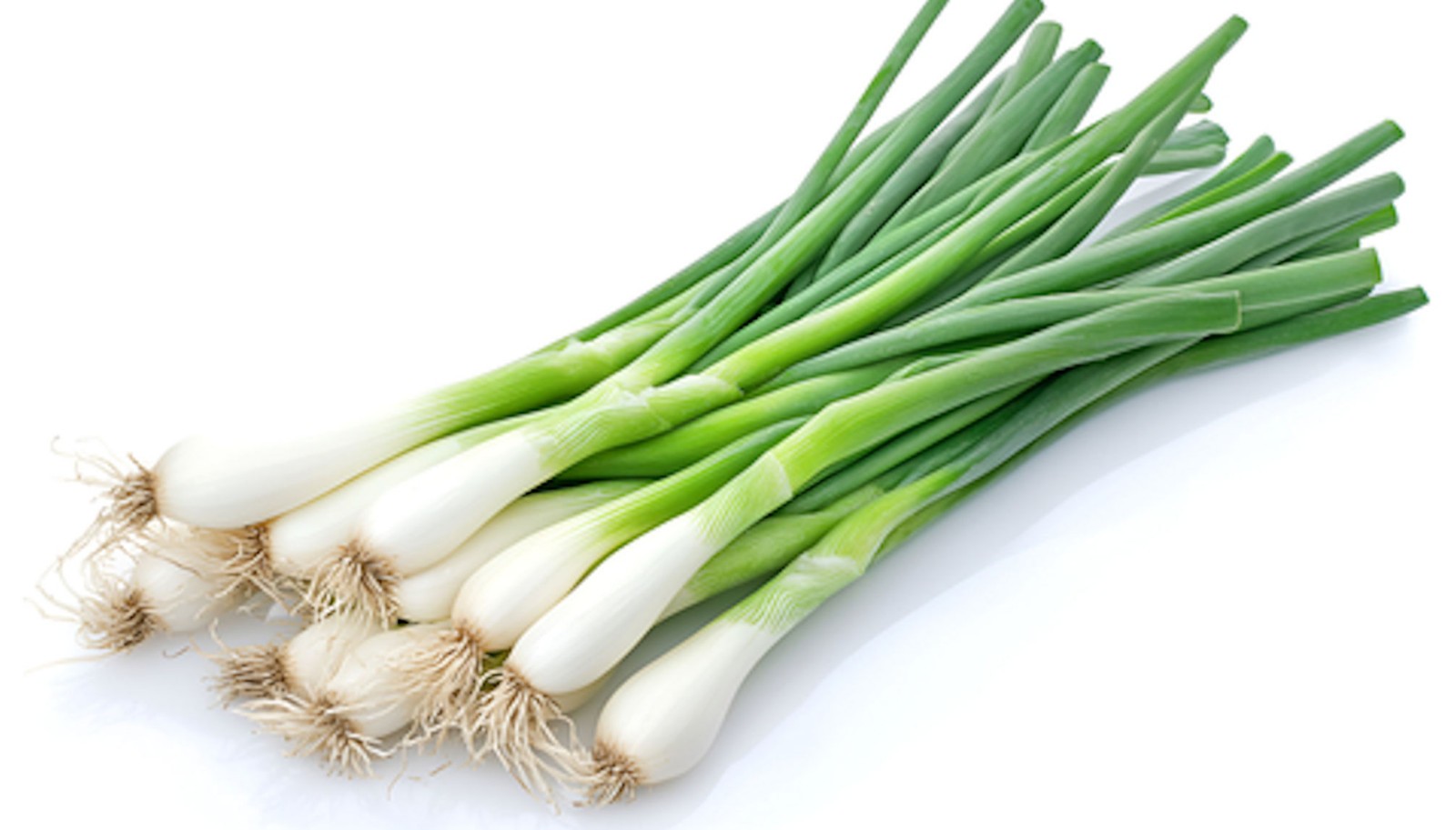 100 Warrior Bunching Heirloom Onion Seeds! AAS Winner!