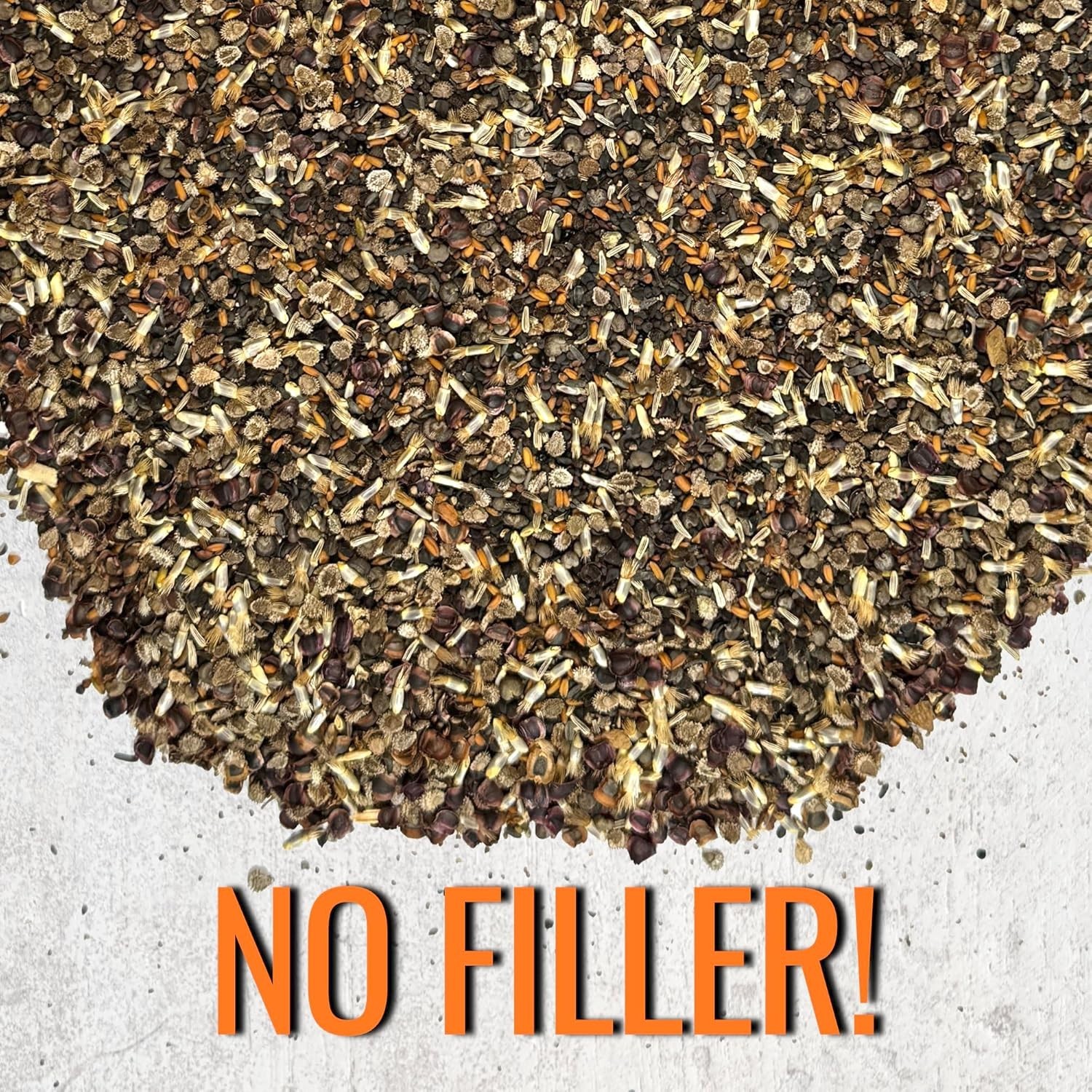 Wildflower Seed Mix – 1 Ounce of 14+ Varieties for Partial Shade Gardens