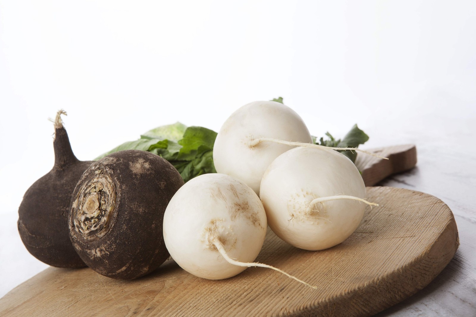 500 Hailstone WHITE GLOBE RADISH Raphanus Sativus Vegetable Seeds