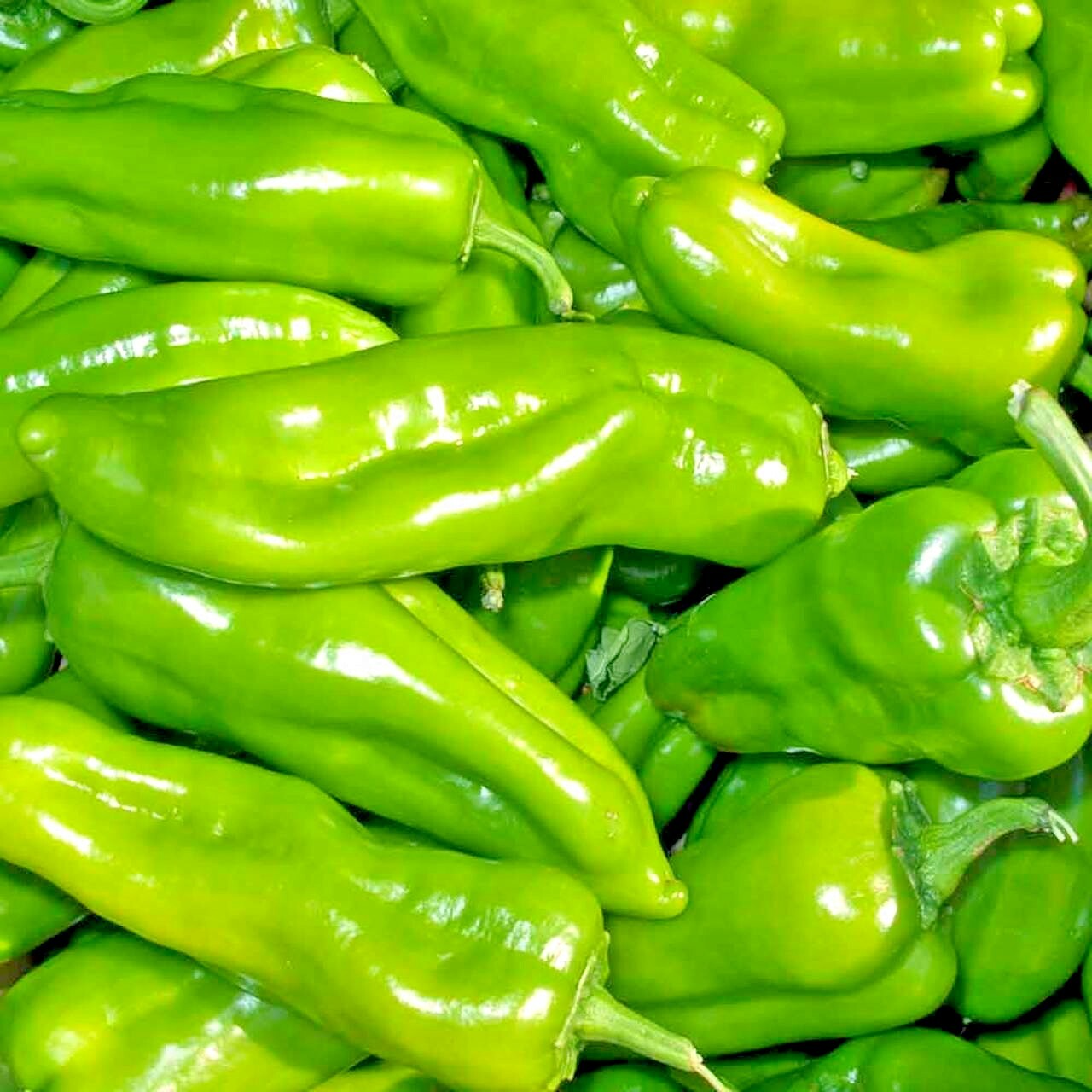 60+CUBANELLE Sweet PEPPER Seeds Organic Vegetable Garden Patio Container Easy