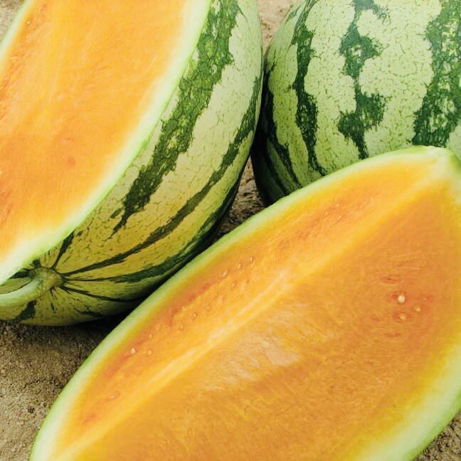 BOGO 1/2 OFF TENDERSWEET ORANGE WATERMELON SEEDS HEIRLOOM NON GMO FRESH HARVEST