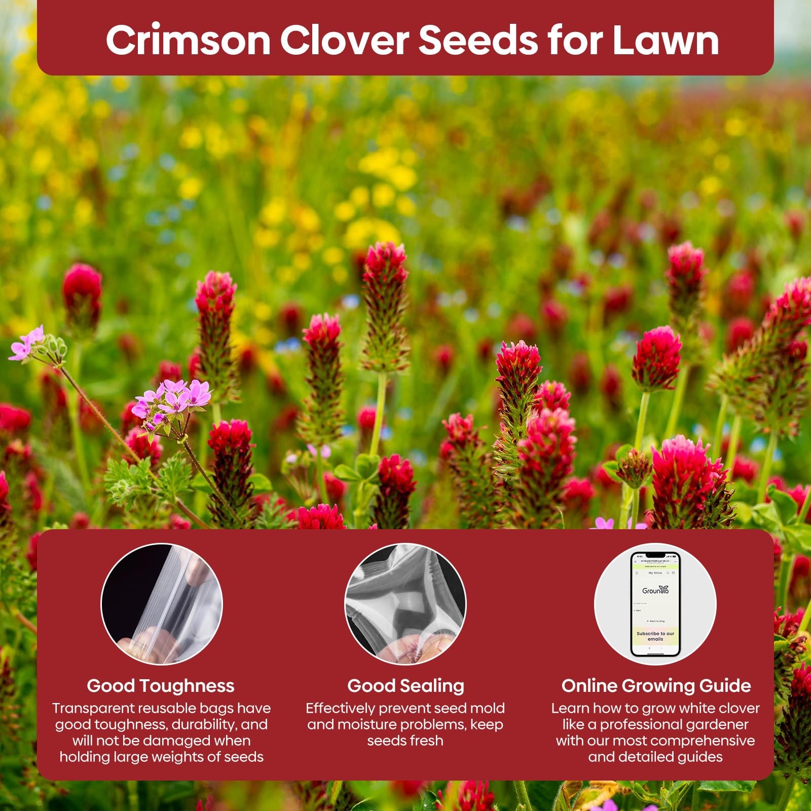 Annual Crimson Clover Seeds, 2 lbs, Trifolium Incarnatum Seeds for Lawn, Attr…