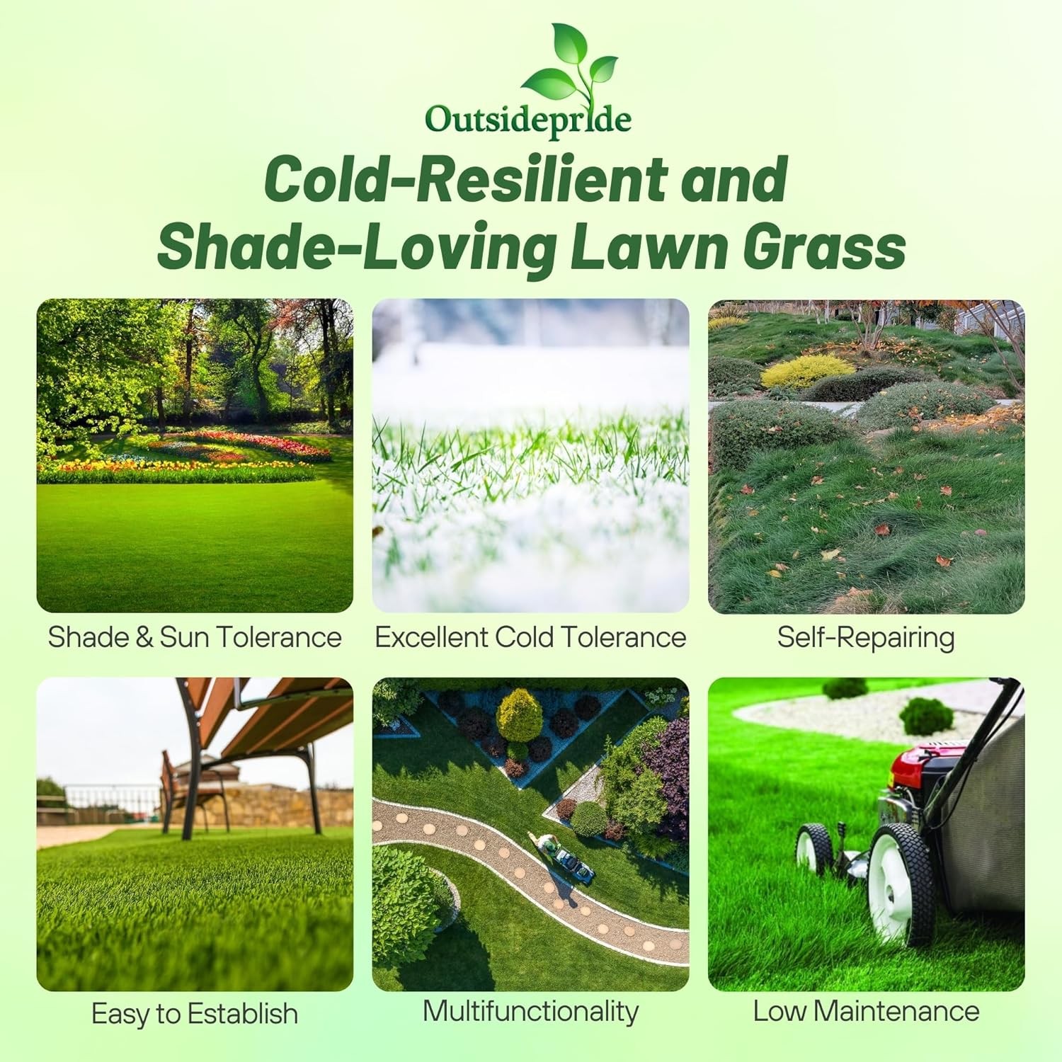 10 LBS – OptiGrowth Coated Creeping Red Fescue Grass Seed For Shade