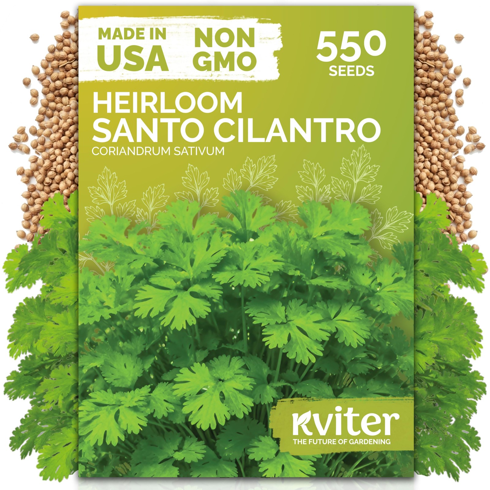 KVITER 550 Santo Cilantro Seeds (Coriandrum Sativum)