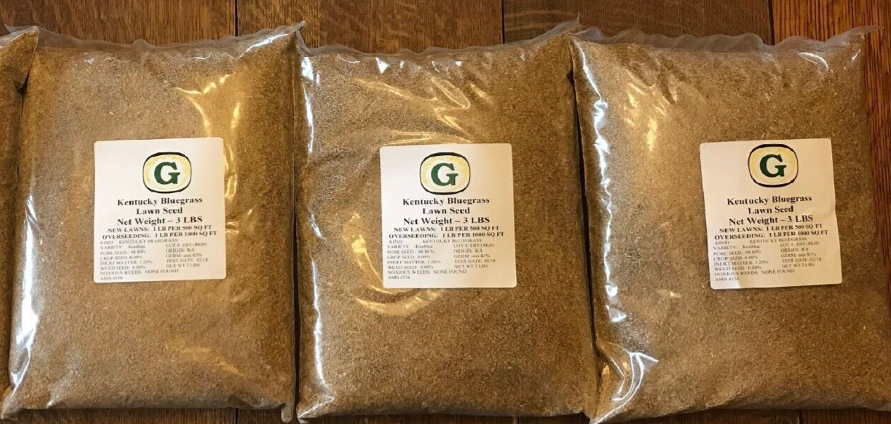 Kentucky Bluegrass Grass Seed – 9 lbs – Direct from Grower – Beautiful Lawn!