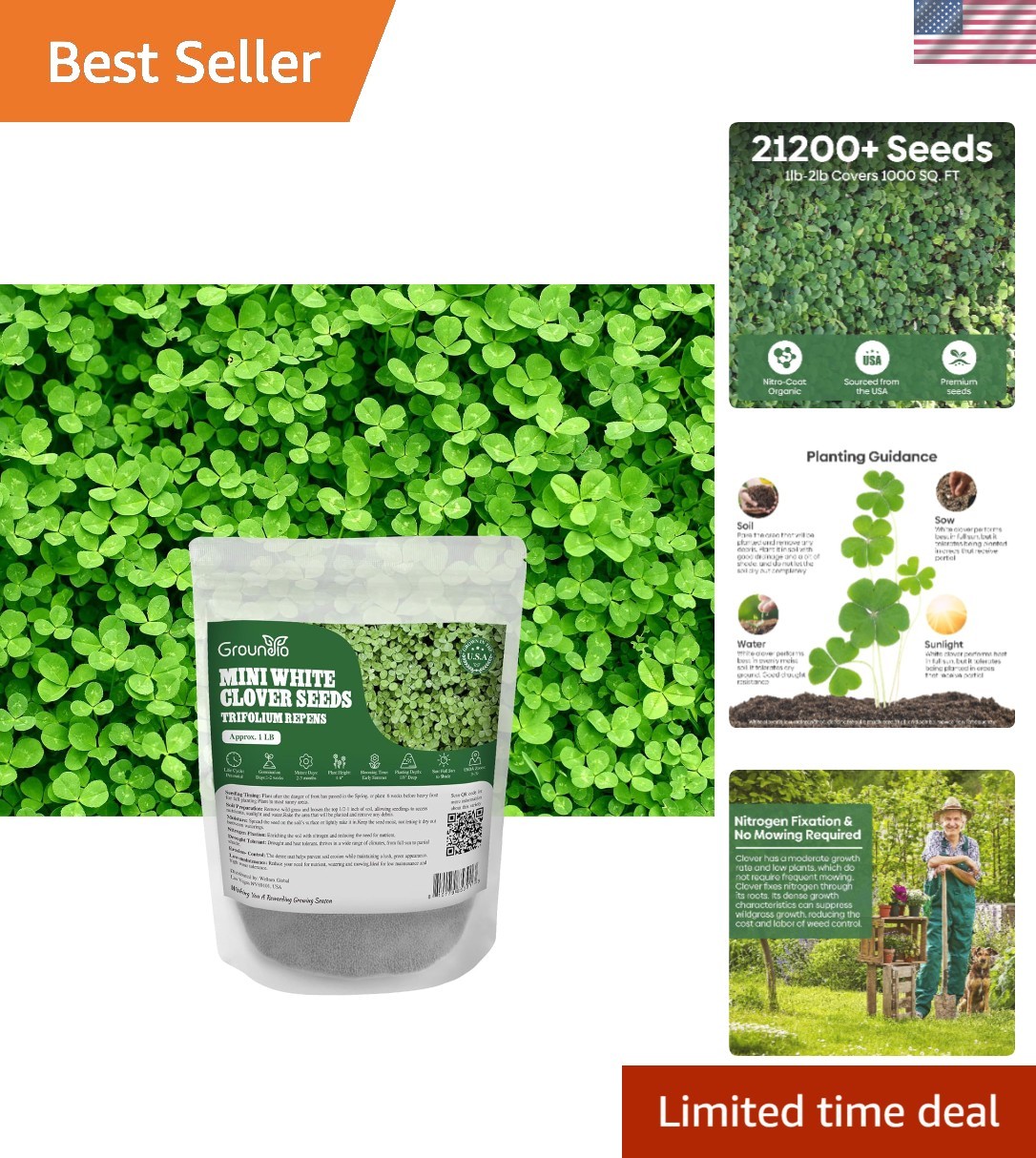 Mini White Clover Seeds, 1LB | 4-6 Inch Tall Perennial Dwarf Dutch Clover, Tr…