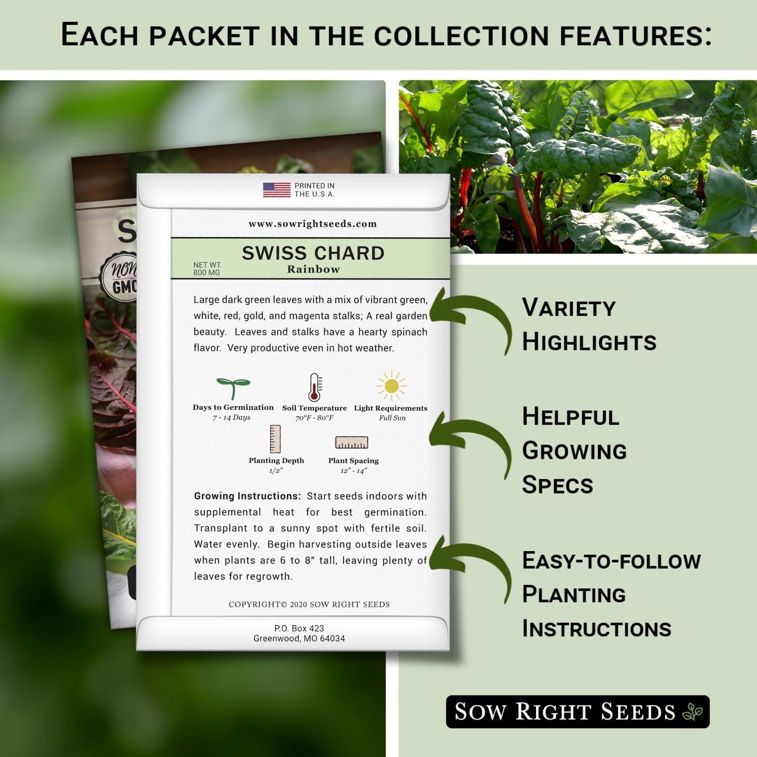 Swiss Chard Seed Collection for Planting Includes Rainbow, Fordhook, Ruby R…