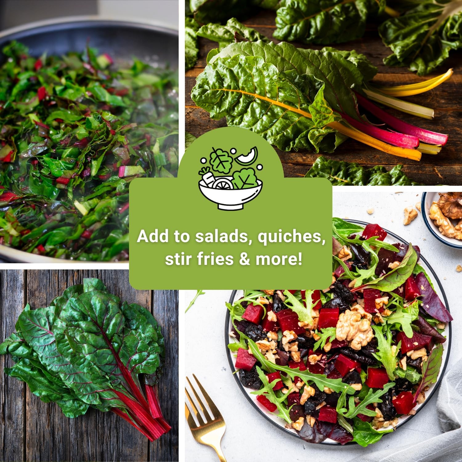 Swiss Chard Seed Collection for Planting Includes Rainbow, Fordhook, Ruby R…