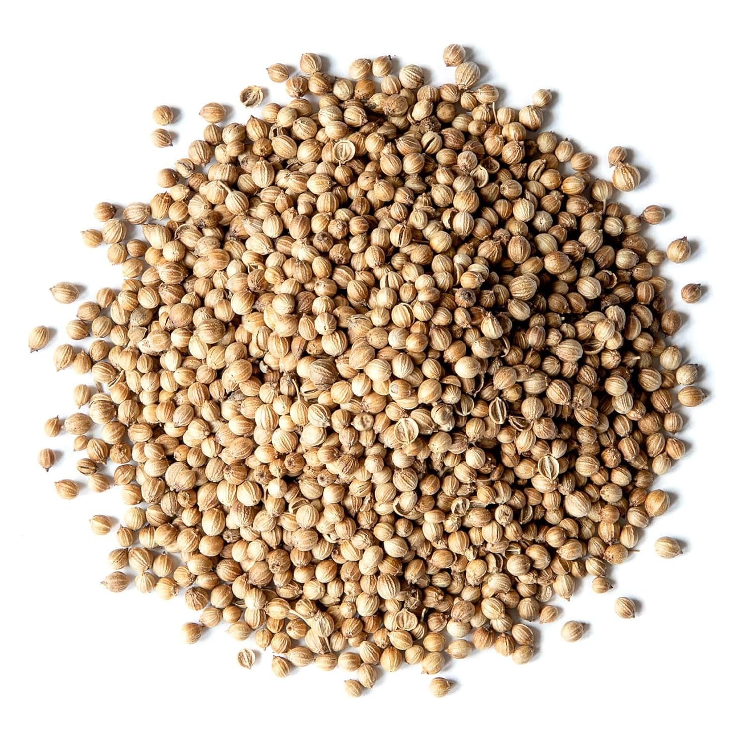 Nutrient-Packed Cilantro Seeds, 2.5 lbs – Cooking Essential