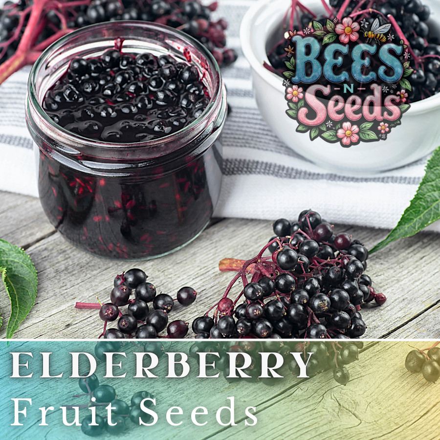 Sable Elderberry Seeds 175 or 450 Seeds Fruit Seeds, Non GMO, Berry Seeds