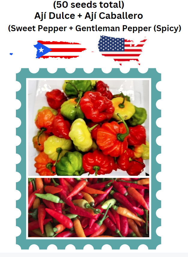 (Seeds) Aji Dulce + Aji Caballero, Puerto Rico, Sweet and Spicy Pepper seeds
