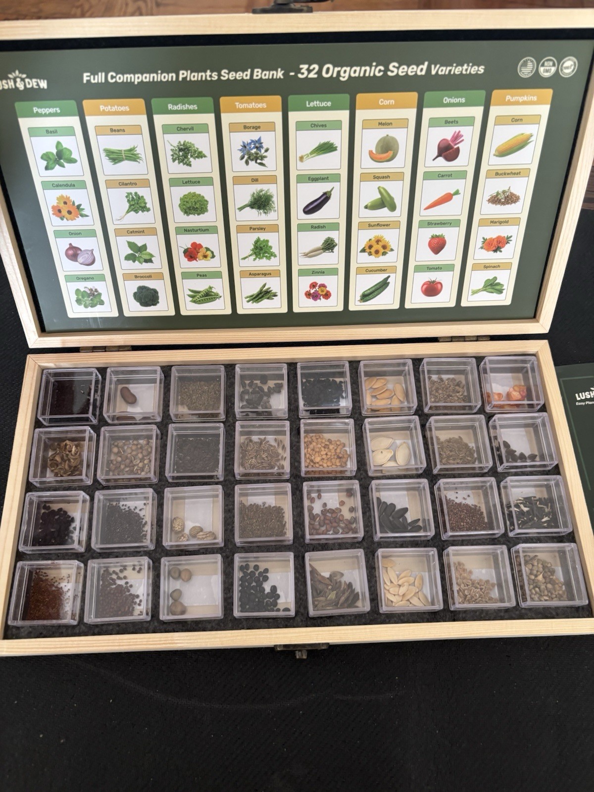 32 Organic Seeds with Grow Guide Step by Step Easy to Follow Summer Collection