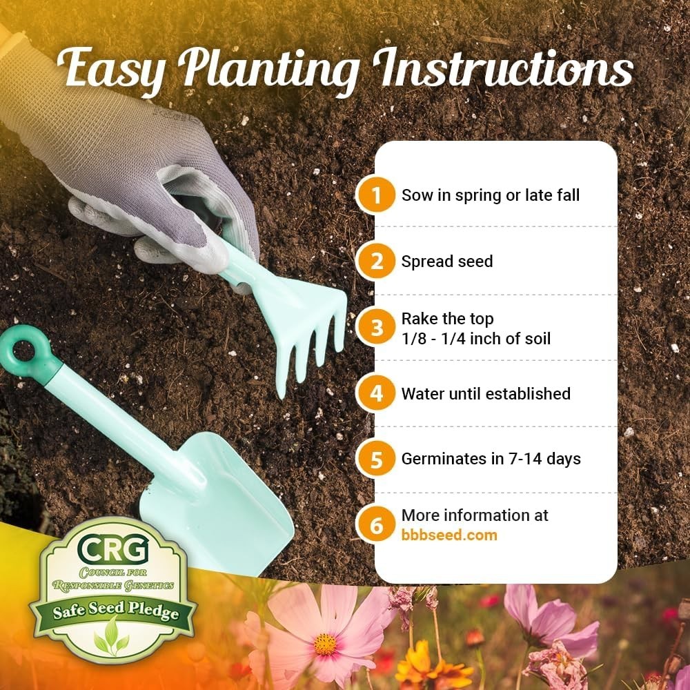 1oz Drought Resistant Wildflower Seeds – Perfect for Pollinator-Friendly Gardens