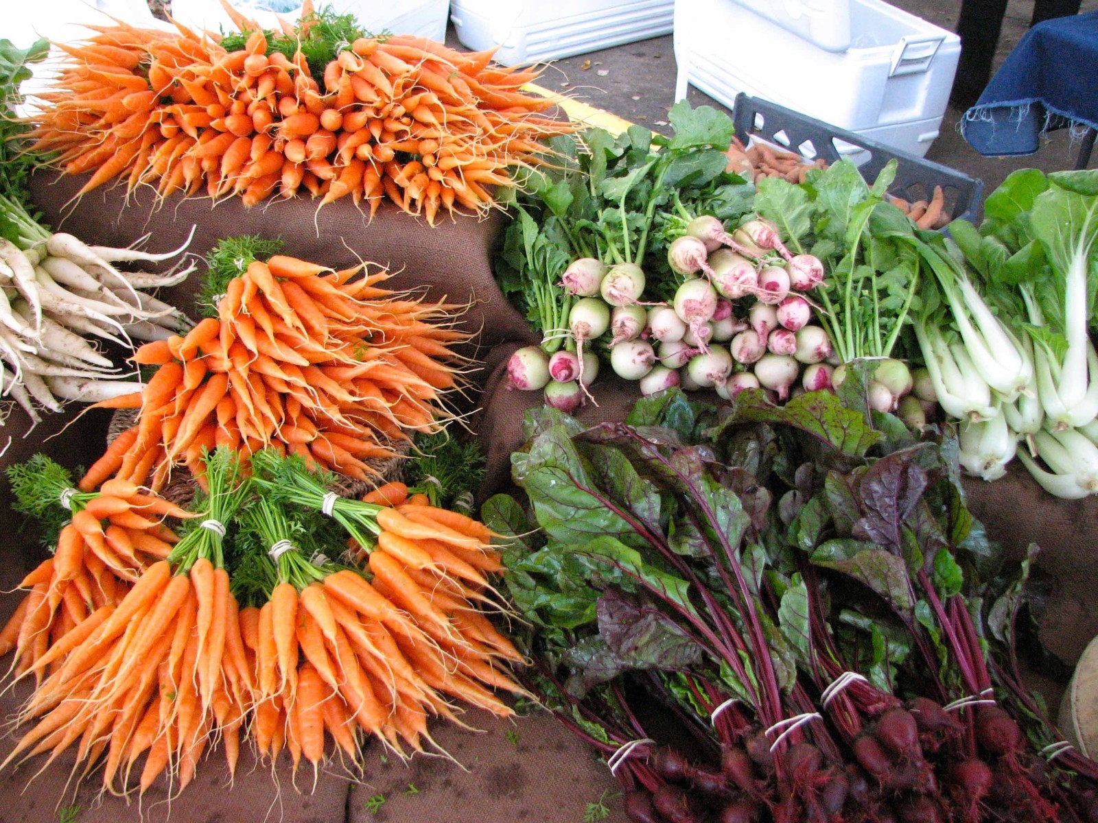 Wholesale Vegetable Seed Cache 190 Heirloom Varieties GARDEN/STORAGE non gmo