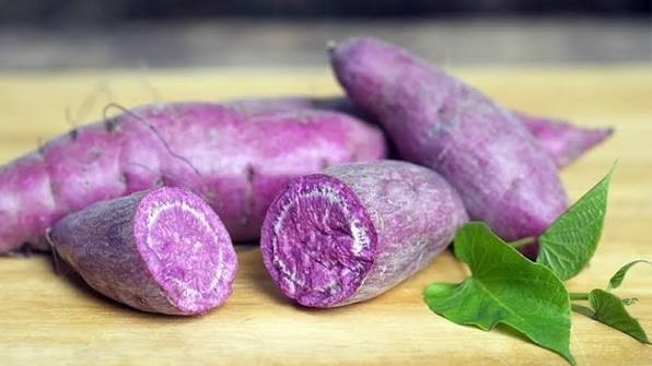 Okinawa Purple & Royal Purple Sweet Potato Slips (10) White Skin + Deep Purple