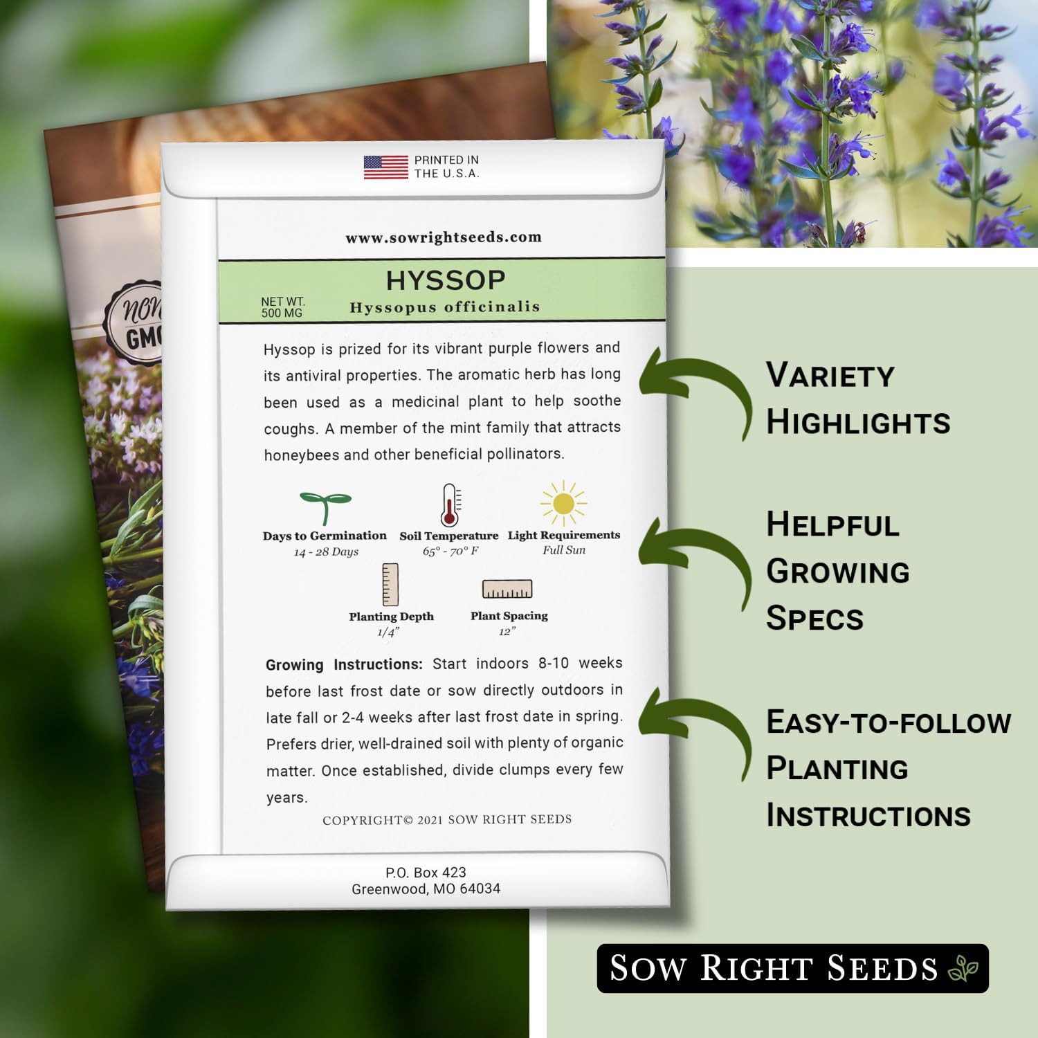 Sow Right Seeds – Hyssop Seed for Planting – Medicinal Herb to Plant in Your Gar