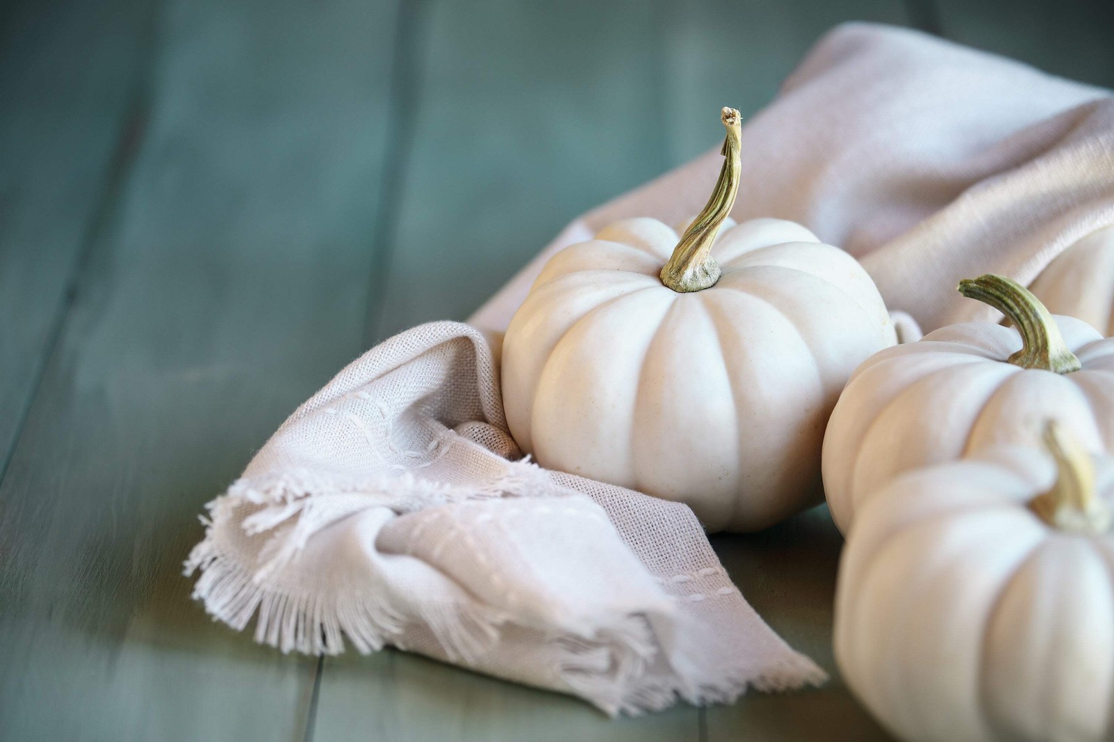 15 WHITE BABY BOO MINI PUMPKIN Miniature Cucurbita Pepo Vegetable Seeds Flat S/H