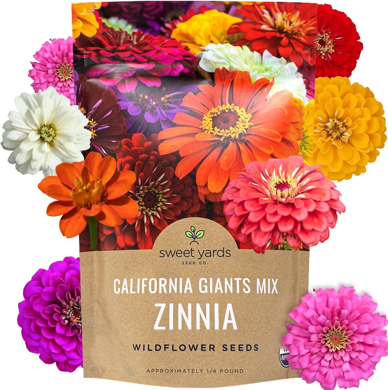 Massive Bulk Zinnia Seeds – California Giants Mix – Perfect for Garden Displays