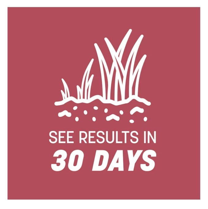 [BIG SALE] Pennington Zenith Zoysia Grass Seed & Mulch 5LB Lawn Seed