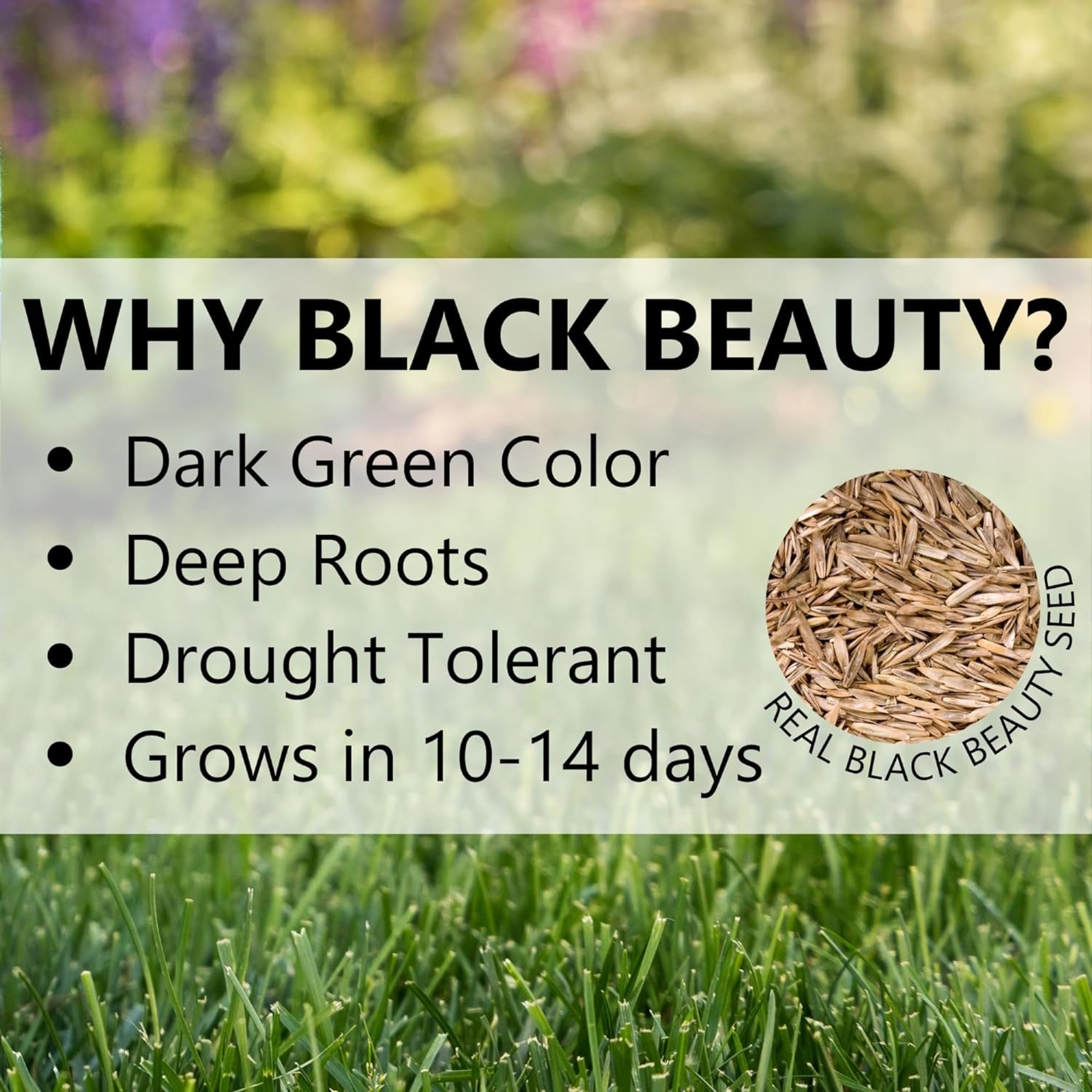 Jonathan Green Black Beauty Heavy Traffic Premium Grass Seed Mixture, 25lbs