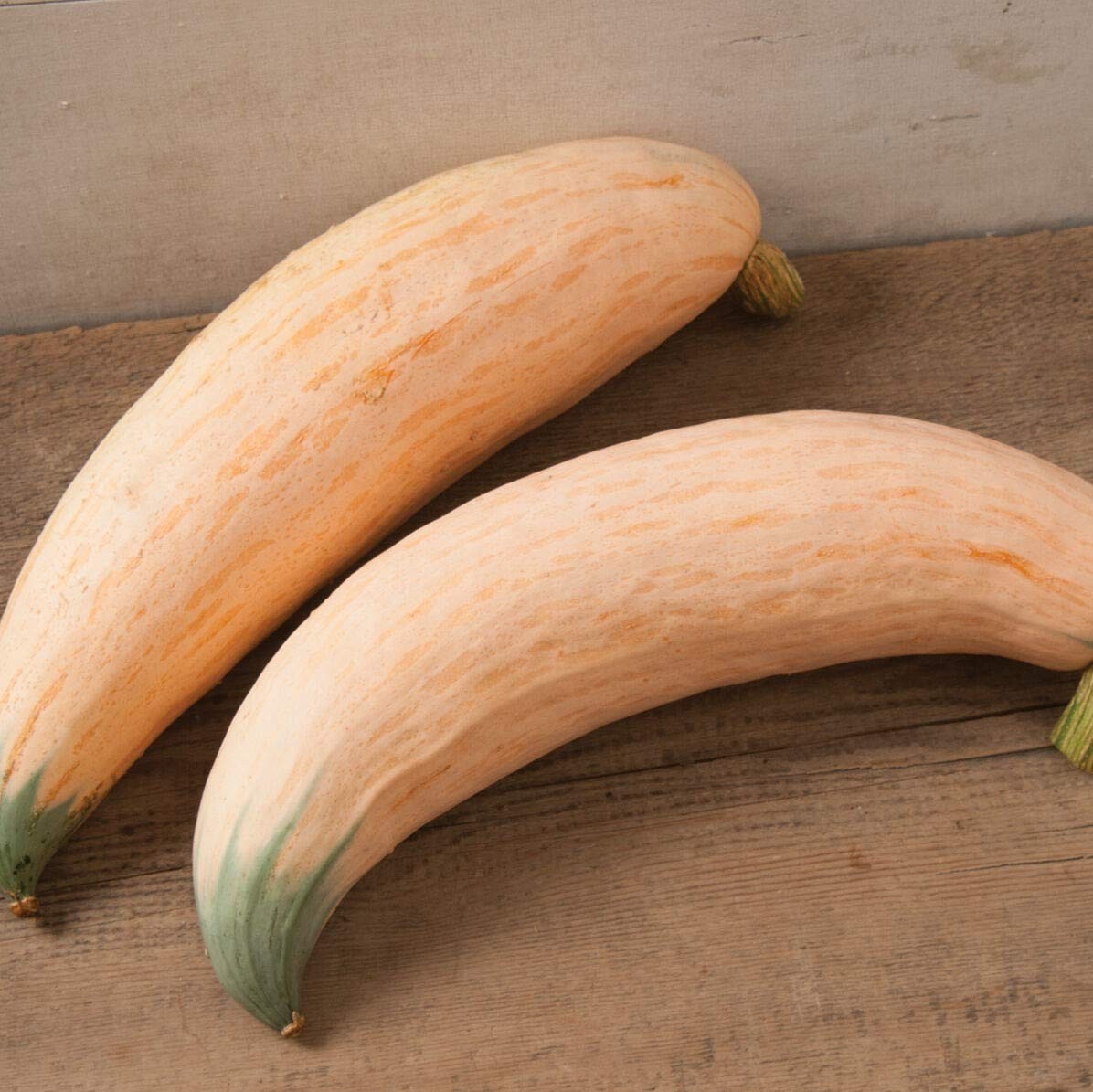 North Georgia Candy Roaster Squash (Cucurbita Maxima) – Packet of 10 Seeds