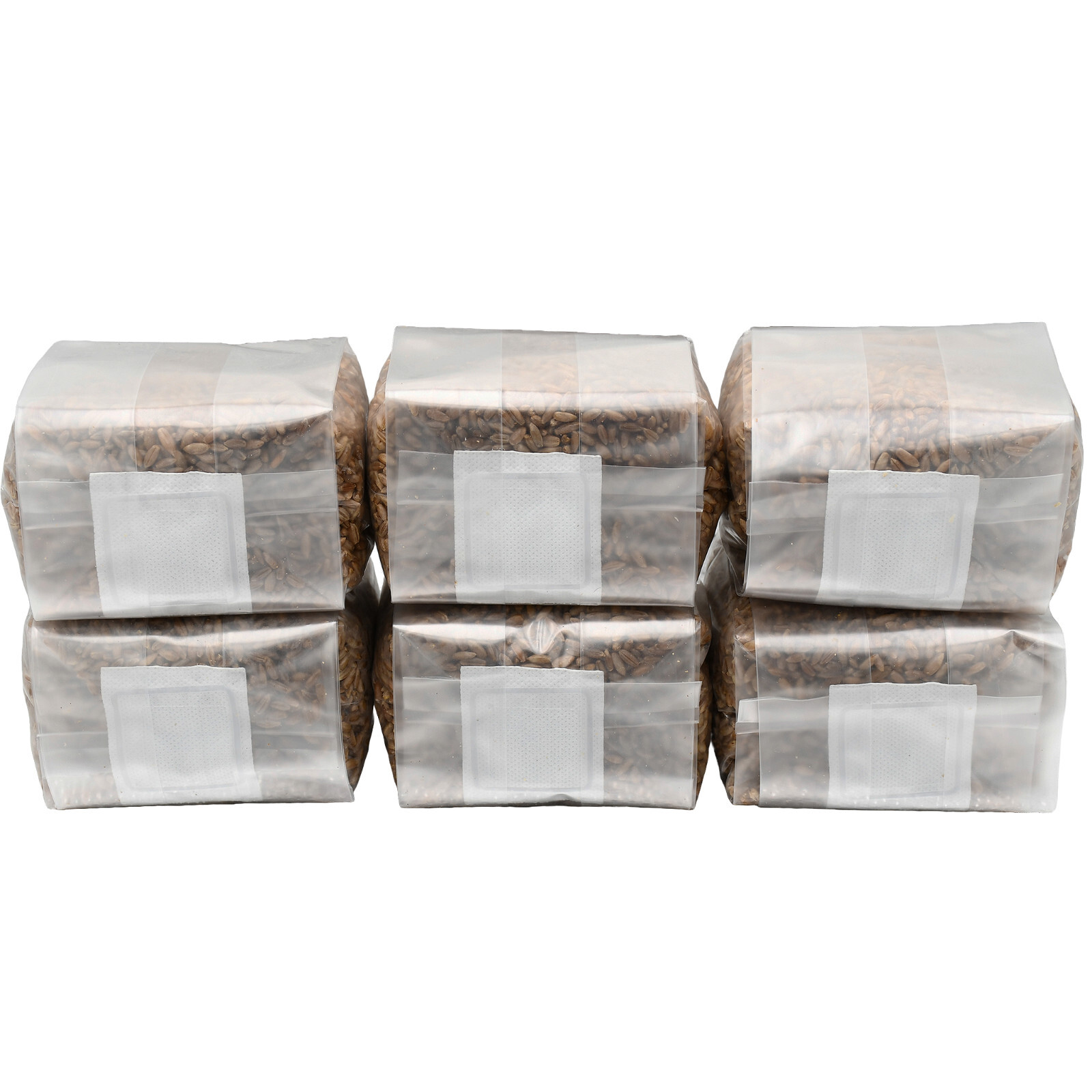 Sterilized Rye Berry Mushroom Substrate (6 x 1lb bags)