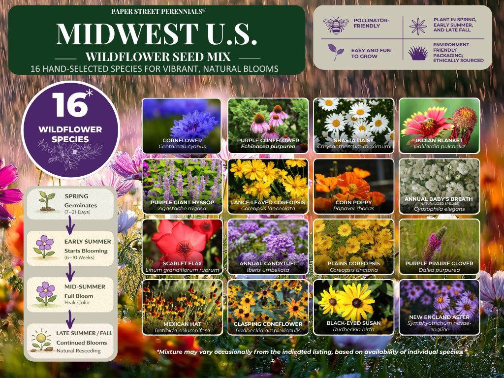 Minnesota Wildflower Seed Mix 1 lb Covers 2,000 Sq Ft Pollinator Garden Seeds