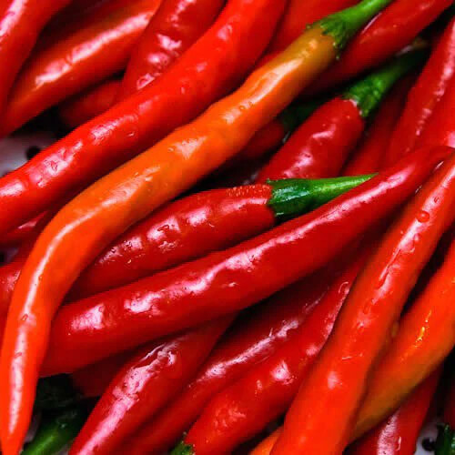 Cayenne Long Thin Pepper Seeds | Heirloom / Non-GMO | Free Shipping | 1005