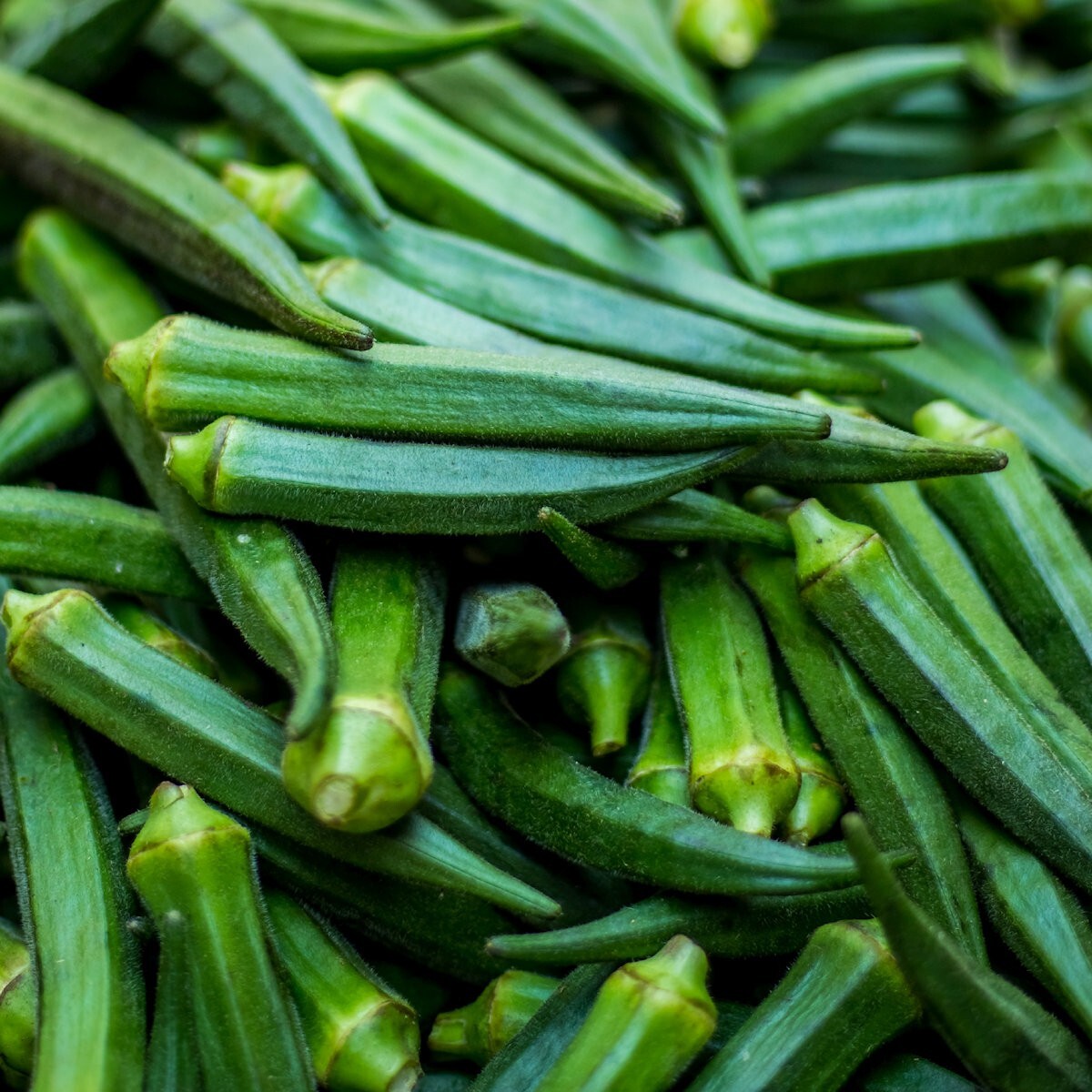 1/4 Lb Emerald Okra Seeds – Everwilde Farms Mylar Seed Packet