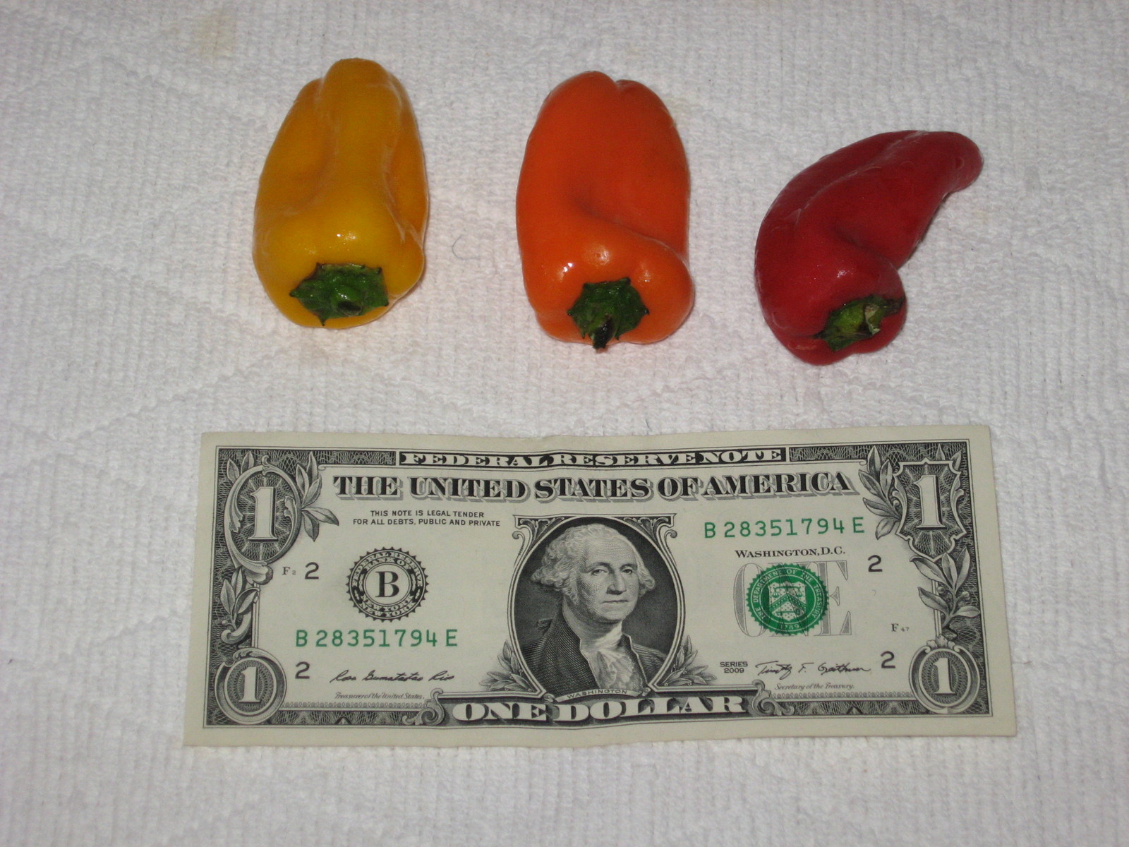 BULK 100 *SWEETEST RED,YELLOW,ORANGE MINI BELL PEPPER SEEDS * STRAWBERRY SWEET