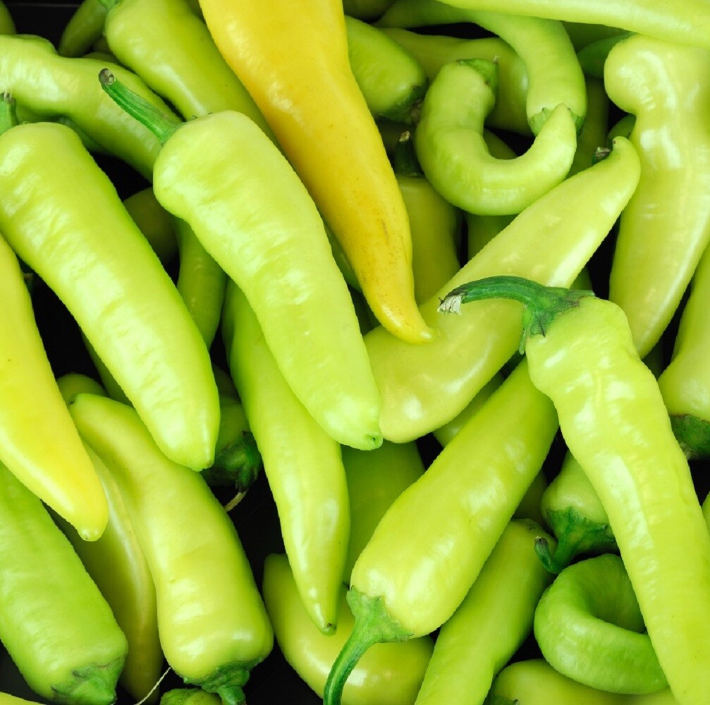 Hungarian Hot Wax Pepper | Non-GMO | Heirloom | Fresh Garden Seeds
