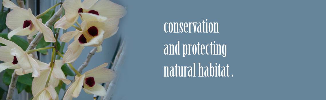 Conservation and Natural Habitat