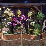 OSMT at Nashville Lawn and Garden Show