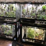 February 2026 Meeting